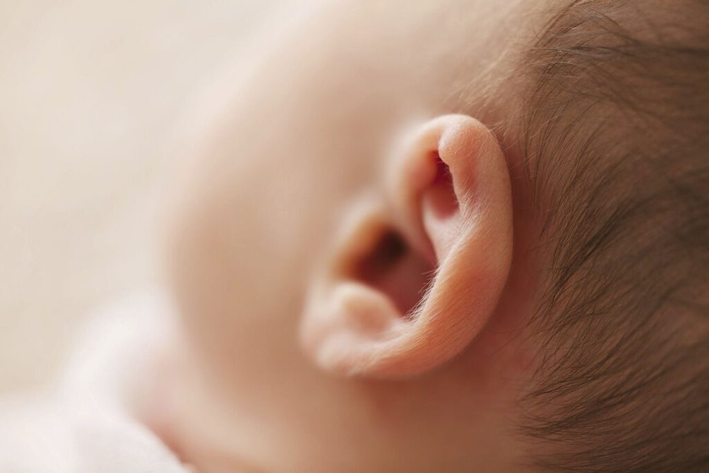 Free closeup baby ear image